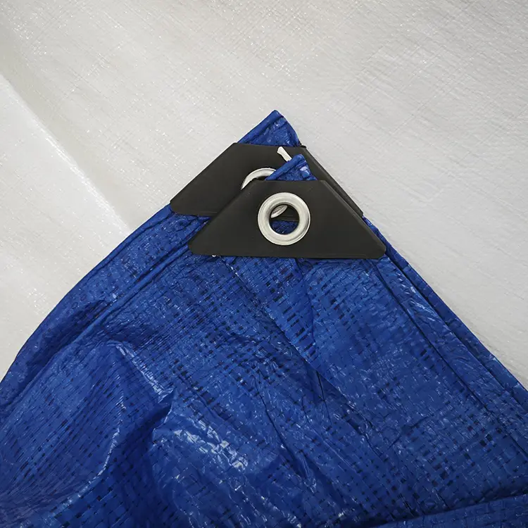 60g modri pe ponjava