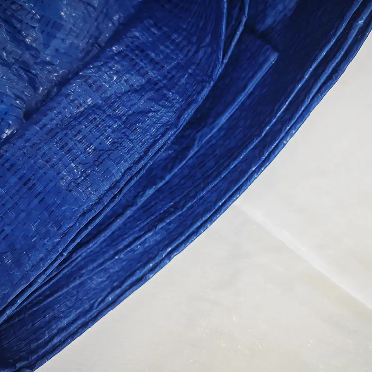 60g modri pe ponjava