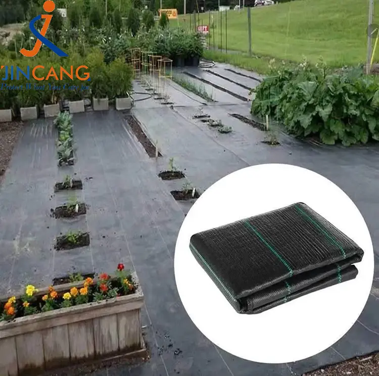 Pp tkana preproga plevela