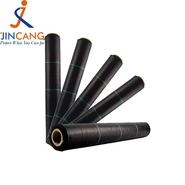 Pp tkana preproga plevela