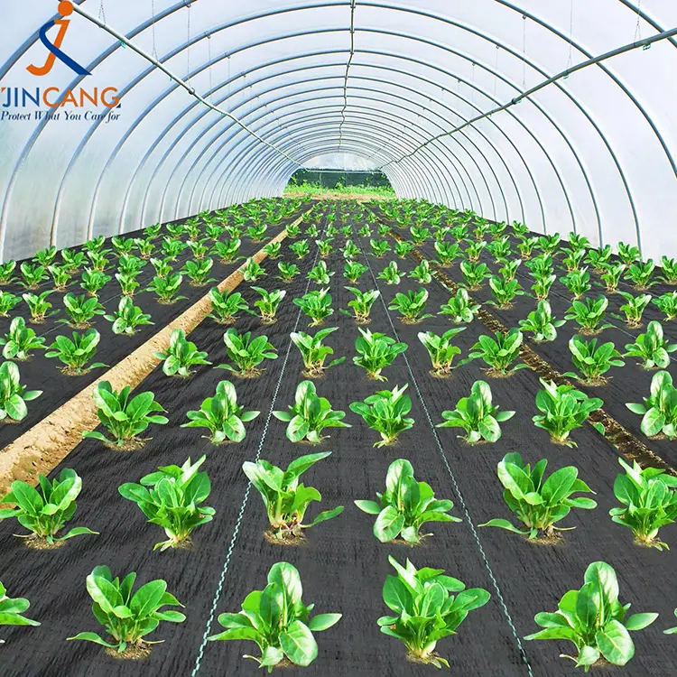 Pp tkana preproga plevela