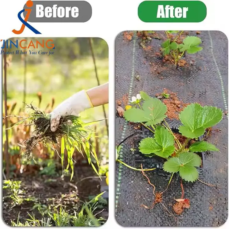 Pp tkana preproga plevela