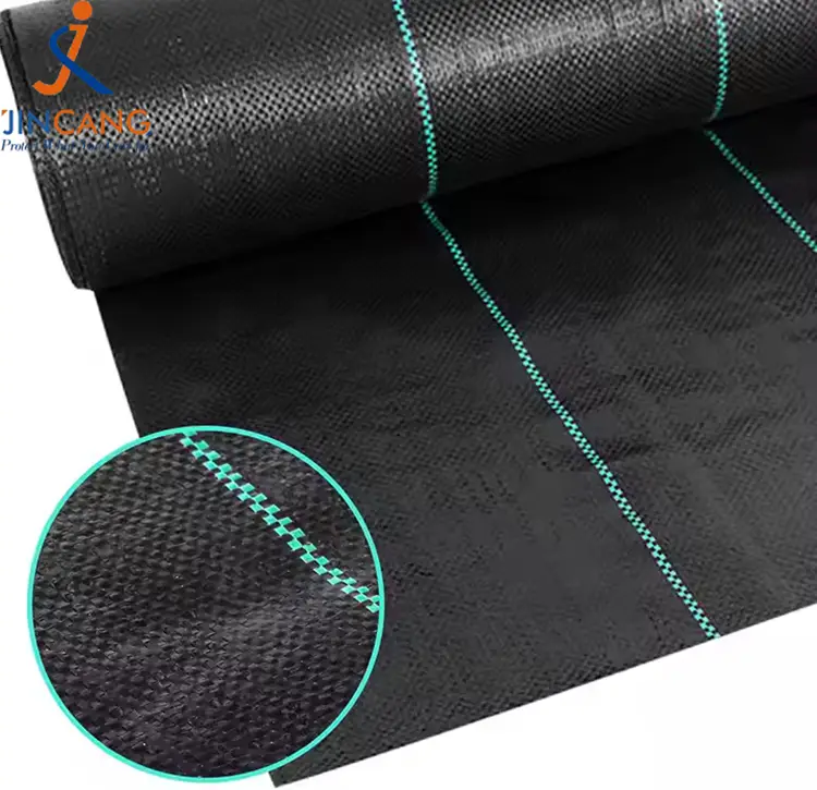 Pp tkana preproga plevela