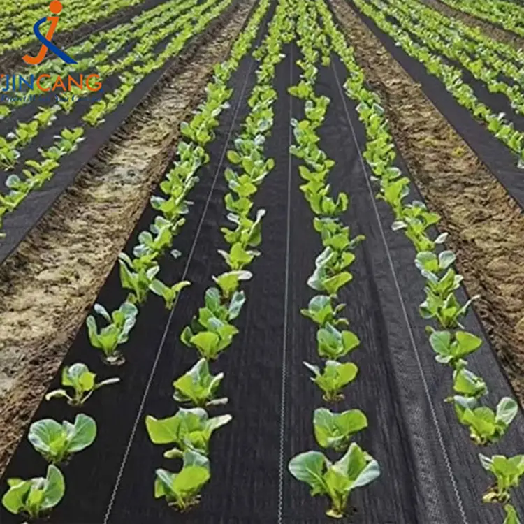 Proti plevela krpa PE Pletena vrtna preproga za zatiranje plevela